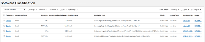 Detected instances of Brotli Python are listed in BFI under Software Classification