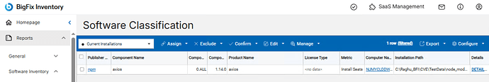 Detected instances are listed in BFI under Software Classification
