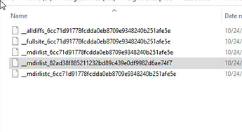 Directory showing new files appearing alongside the new one we dropped in