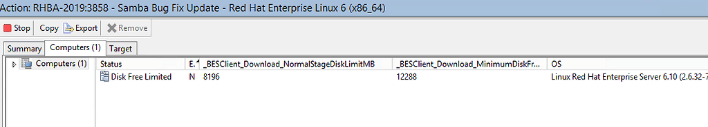 Disk Free Limited Issue on RHEL Server - Patch - BigFix Forum