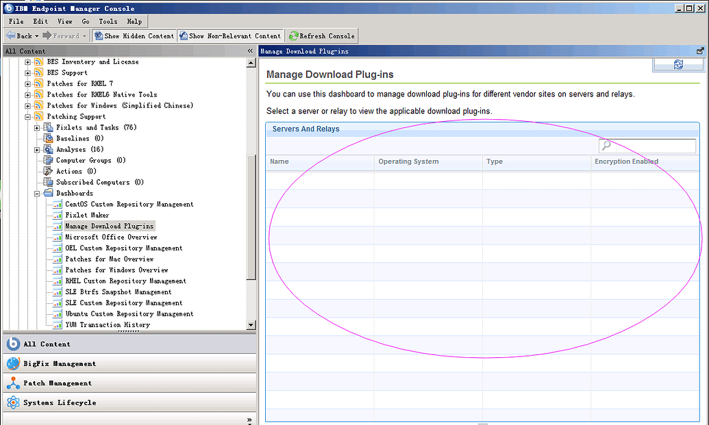Patching Support-Manage Download plug-ins have no data - Patch - BigFix ...
