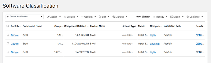 Detected instances of Brotli Ubuntu are listed in BFI under Software Classification