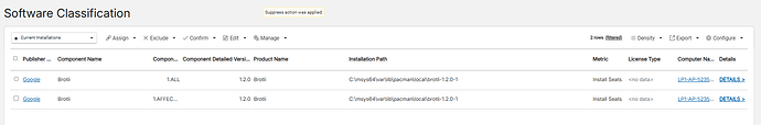 Detected instances of Brotli Msys are listed in BFI under Software Classification