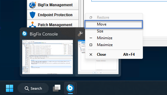Window Bigfix Panel Take Action Window Stays in Background - Usage and Config - BigFix Forum